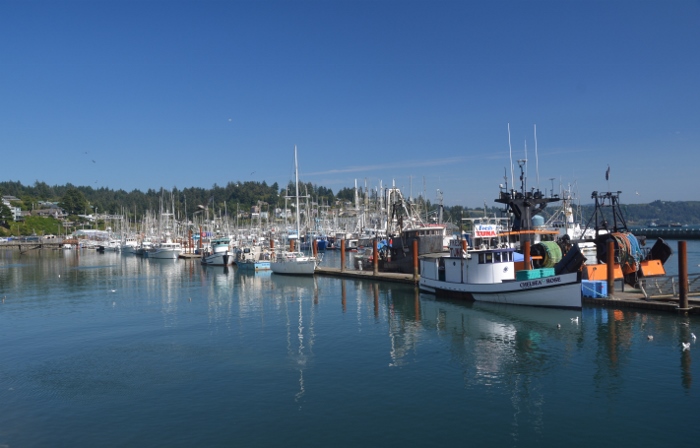 Newport's bayfront